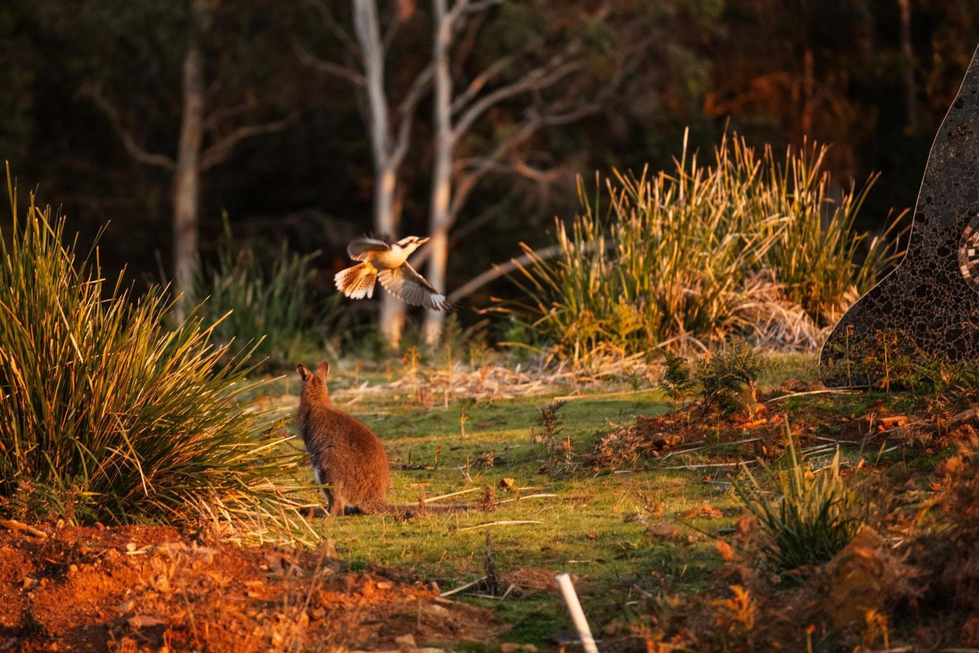 Freycinet Resort Коулс Бей Екстериор снимка